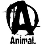 animalpak.com