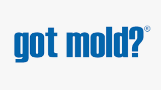 gotmold.com